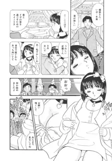 真夜中のセーラー服, 日本語