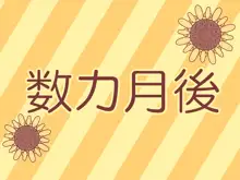 木村先生と遊ぼう, 日本語