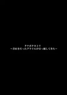 タナボタネトリ～昔好きだったグラドルが引っ越してきた～, 日本語