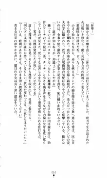 呪い屋零3 淫書の誘いに妖華咲く, 日本語