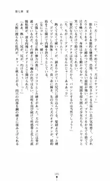 呪い屋零3 淫書の誘いに妖華咲く, 日本語