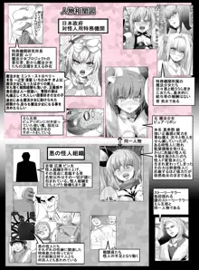 魔法少女VS怪人ド変態女 2, 日本語