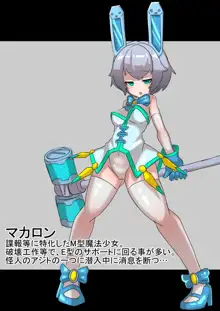 正義のヒロイン受胎調教～魔法少女エクレールvs種付け怪人集団, 日本語