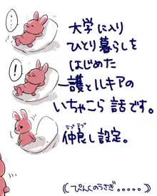 続きをご所望ですか？, 日本語