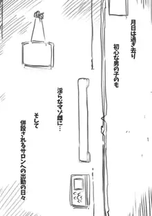 強制女性化調教館, 日本語