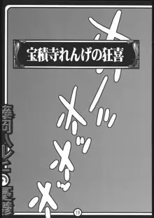 藤岡ハルヒの憂鬱, 日本語