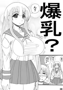 お姉ちゃん制服少女, 日本語