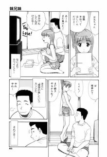 ダメって言ったのに, 日本語