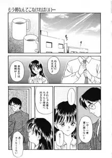 かたち, 日本語