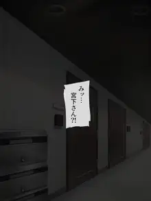 あでやかナーシング ～宮下さんの休日～, 日本語