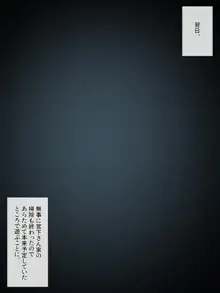 あでやかナーシング ～宮下さんの休日～, 日本語