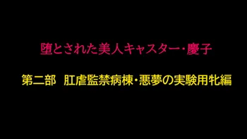 堕とされた美人キャスター・慶子 第二部 肛虐監禁病棟・悪夢の実験用牝編, 日本語