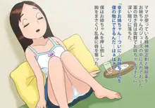 マセガキに眠らされたノムさん, 日本語