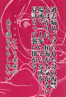 突撃!346の向井さん, 日本語