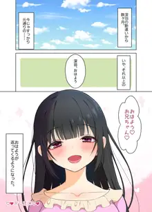 妹は兄にハメられたい!, 日本語