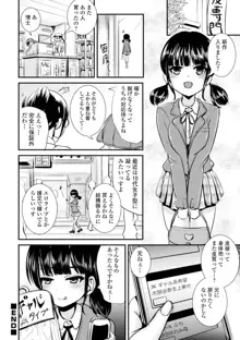 TS娘だらけ, 日本語