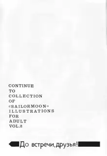 COLLECTION OF -SAILORMOON- ILLUSTRATIONS FOR ADULT Vol.1, 日本語