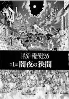 PAST PRINCESS, 日本語