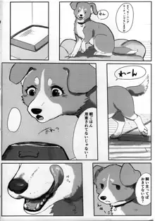 わんだふる!1, 日本語