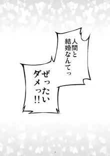 いなばの嫁うさぎ, 日本語