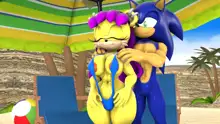 Sonic And Mina's Kinky Summer Fun, 日本語