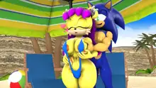 Sonic And Mina's Kinky Summer Fun, 日本語