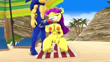 Sonic And Mina's Kinky Summer Fun, 日本語