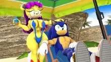 Sonic And Mina's Kinky Summer Fun, 日本語