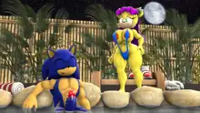 Sonic And Mina's Naughty Hot Spring Fun, 日本語