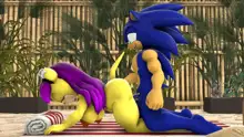 Sonic And Mina's Naughty Hot Spring Fun, 日本語