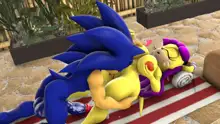 Sonic And Mina's Naughty Hot Spring Fun, 日本語