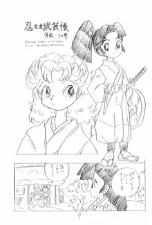 忍たま武芸帳’94, 日本語