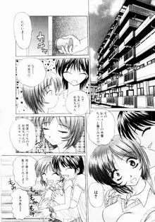 ときめき発情しすたーず♡, 日本語