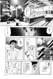 研究対象少女, 日本語