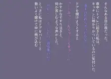 私たち退学回避のために赤ちゃんを産みます!～アビーとセレン～, 日本語