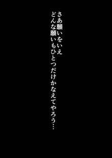 DRAGON-HOLE 金髪の人妻編, 日本語