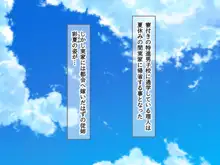 田舎のお姉ちゃんと朝から晩まで汗だく汁まみれで中出し交尾しまくるドチャエロ夏休み, 日本語