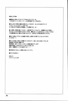 ぶるまてぃっくすとーりー 3 完結編, 日本語