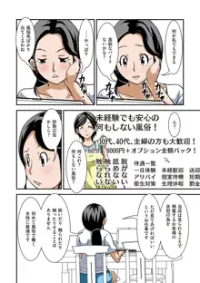 普通の主婦が風俗に堕ちた理由, 日本語