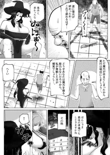 いれかえのつえをてにいれた!, 日本語