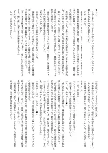 聖晶希石エスフェール Noyaux insérés, 日本語