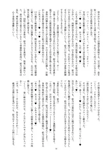 聖晶希石エスフェール Noyaux insérés, 日本語