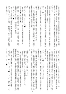 聖晶希石エスフェール Noyaux insérés, 日本語