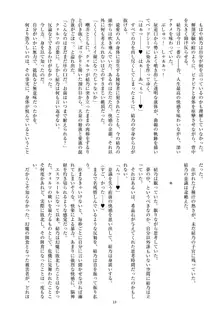 聖晶希石エスフェール Noyaux insérés, 日本語