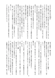 聖晶希石エスフェール Noyaux insérés, 日本語