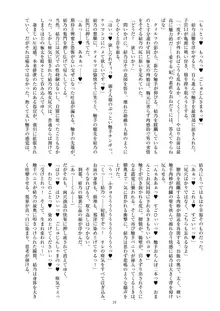 聖晶希石エスフェール Noyaux insérés, 日本語