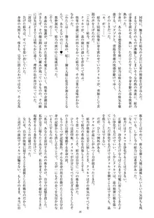 聖晶希石エスフェール Noyaux insérés, 日本語