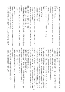 聖晶希石エスフェール Noyaux insérés, 日本語