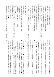 聖晶希石エスフェール Noyaux insérés, 日本語