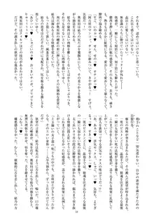 聖晶希石エスフェール Noyaux insérés, 日本語